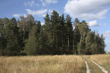 Similar image 323070