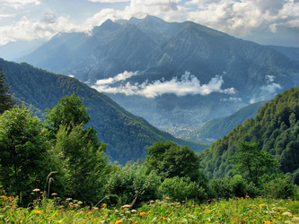 Similar image 323106