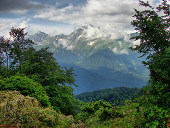 Similar image 323109