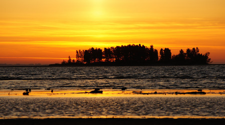 Similar image 323126