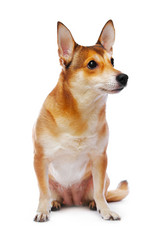 Similar image 323131