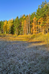 Similar image 323156