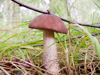 Similar image 323191