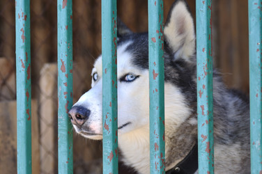 Similar image 323476