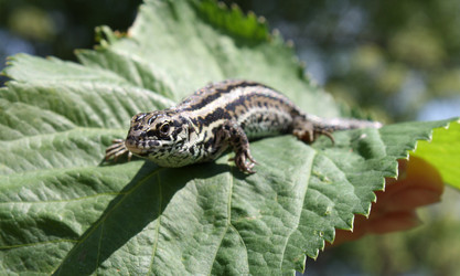 Similar image 323480