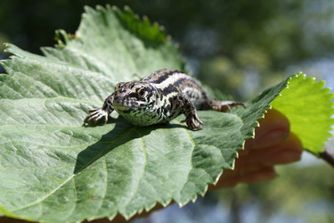 Similar image 323481