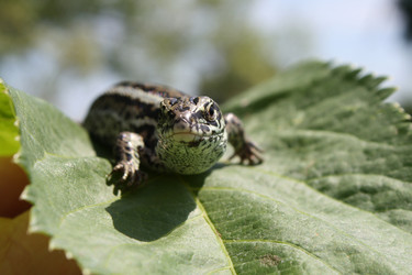 Similar image 323485