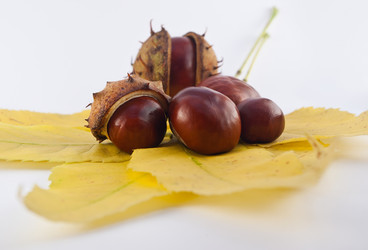 Similar image 323486