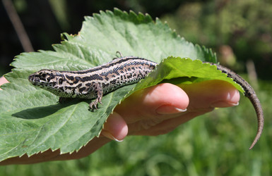 Similar image 323489