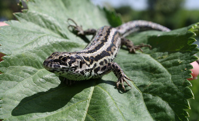 Similar image 323491