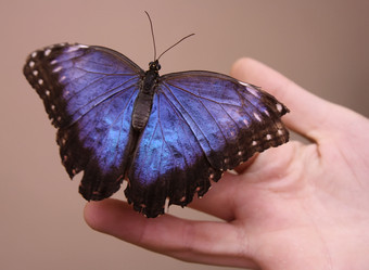 Similar image 323496