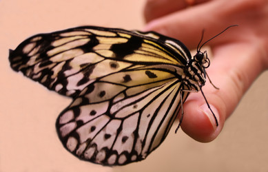 Similar image 323499