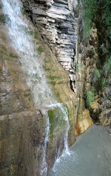 Similar image 323520