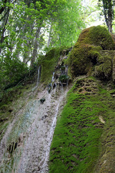 Similar image 323522