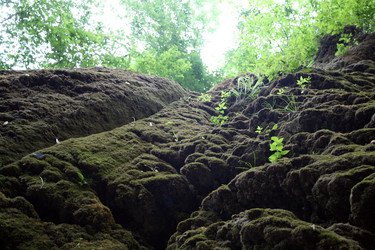 Similar image 323524