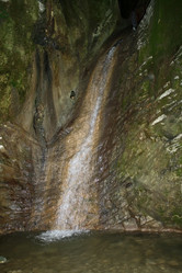 Similar image 323529