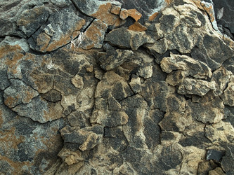 Similar image 323542