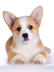 Similar image 323668