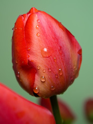 Similar image 323686