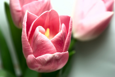 Similar image 323689