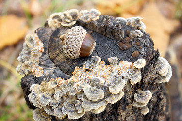 Similar image 323745