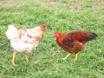 Similar image 323758