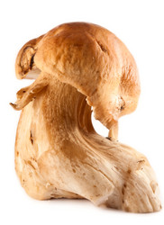 Similar image 323787