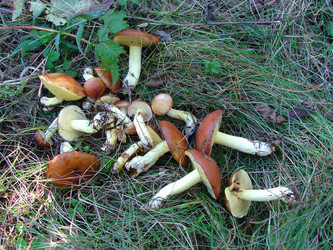 Similar image 323796