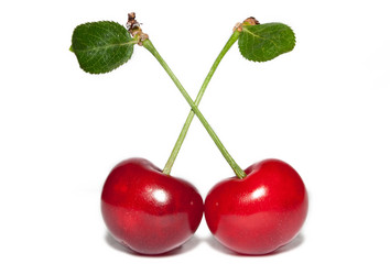 Similar image 323800