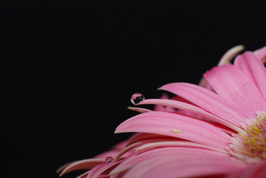 Similar image 323859