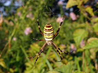 Similar image 323871