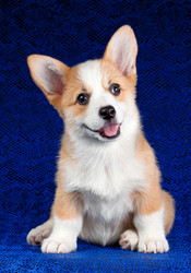 Similar image 323926