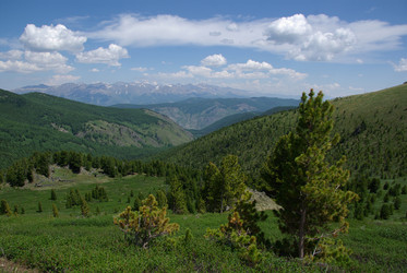 Similar image 323941