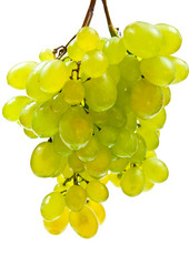 Similar image 323960