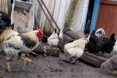 Similar image 323980