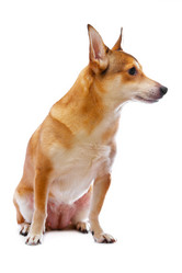 Similar image 324126