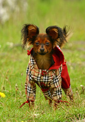 Similar image 324172