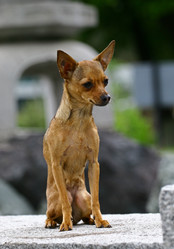 Similar image 324176