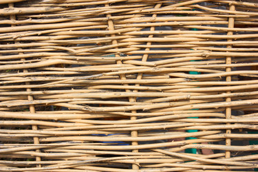 Similar image 324228