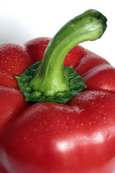 Similar image 324470