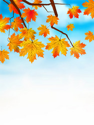 Similar image 324502