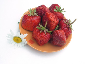 Similar image 324628