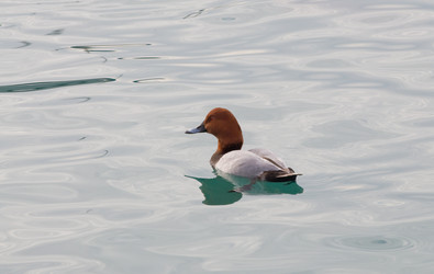 Similar image 324687