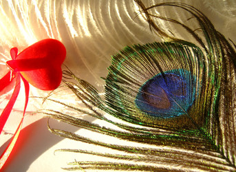 Similar image 324734