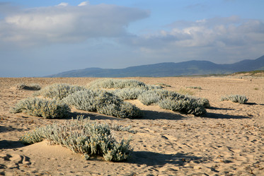 Similar image 324935