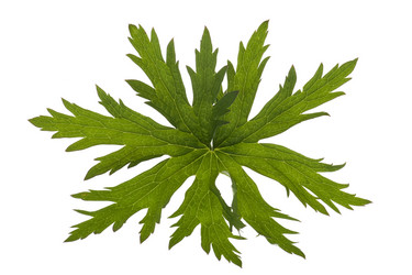 Similar image 324987