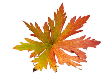 Similar image 324989