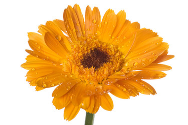 Similar image 325080