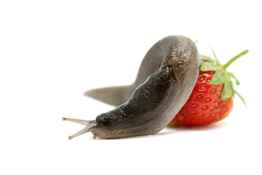 Similar image 325095