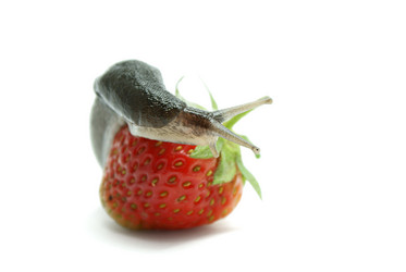 Similar image 325099